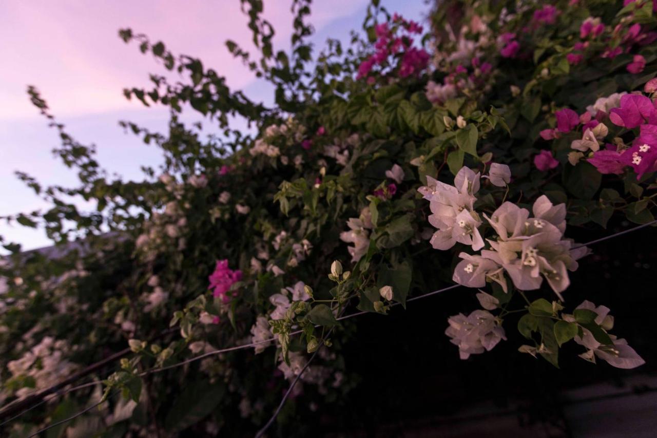 Mauricio Babilonia Bed and Breakfast Santa Marta  Buitenkant foto